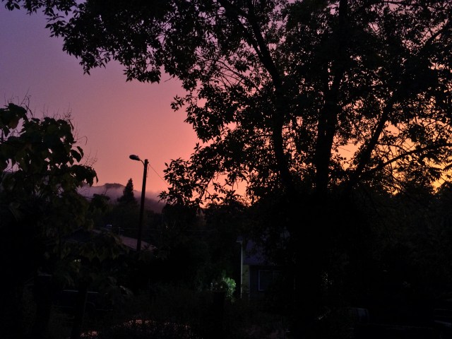 D9738E39-F6C5-404F-8EA5-03BF38BD3D9D